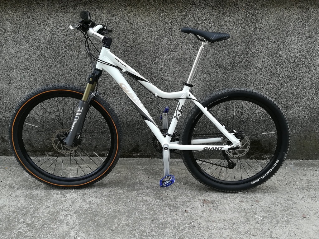 giant terrago xc29