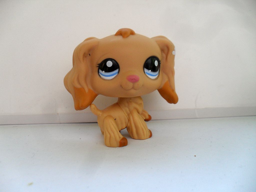 LITTLEST PET SHOP LPS 716 BEŻOWY COCCER SPANIEL