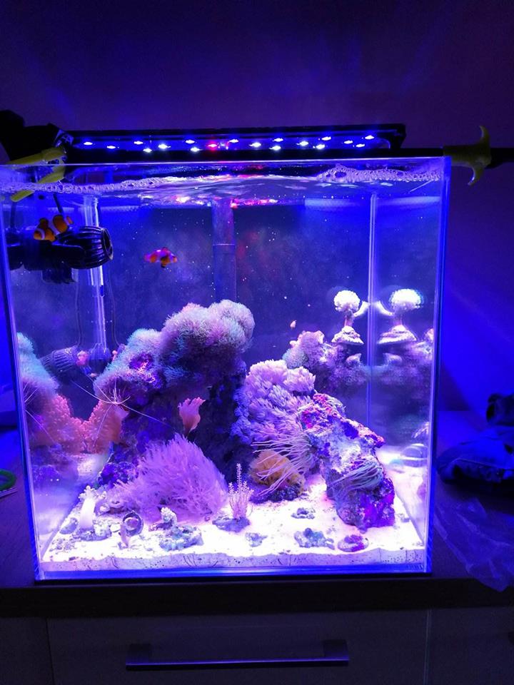 Lampa LED Sirius NANO 36W do kostki 40 cm