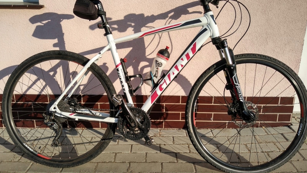 Rower crossowy Giant roam 1 7591871678 oficjalne archiwum Allegro