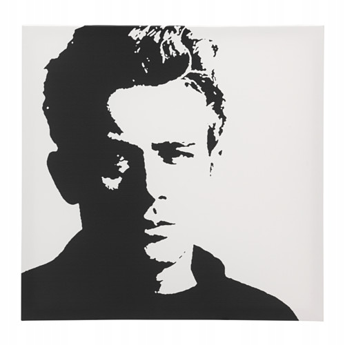 IKEA PJATTERYD Obraz James Dean 90x90cm