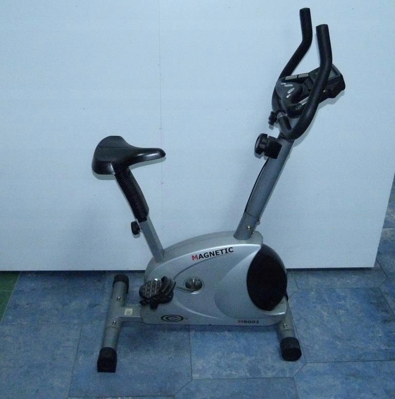 ROWER STACJONARNY MAGNETIC M 6001