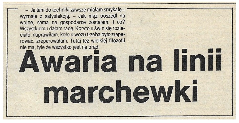 RYKI 'HORTEX' k. CHRUSTNE SARNY GARWOLIN PUŁAWY