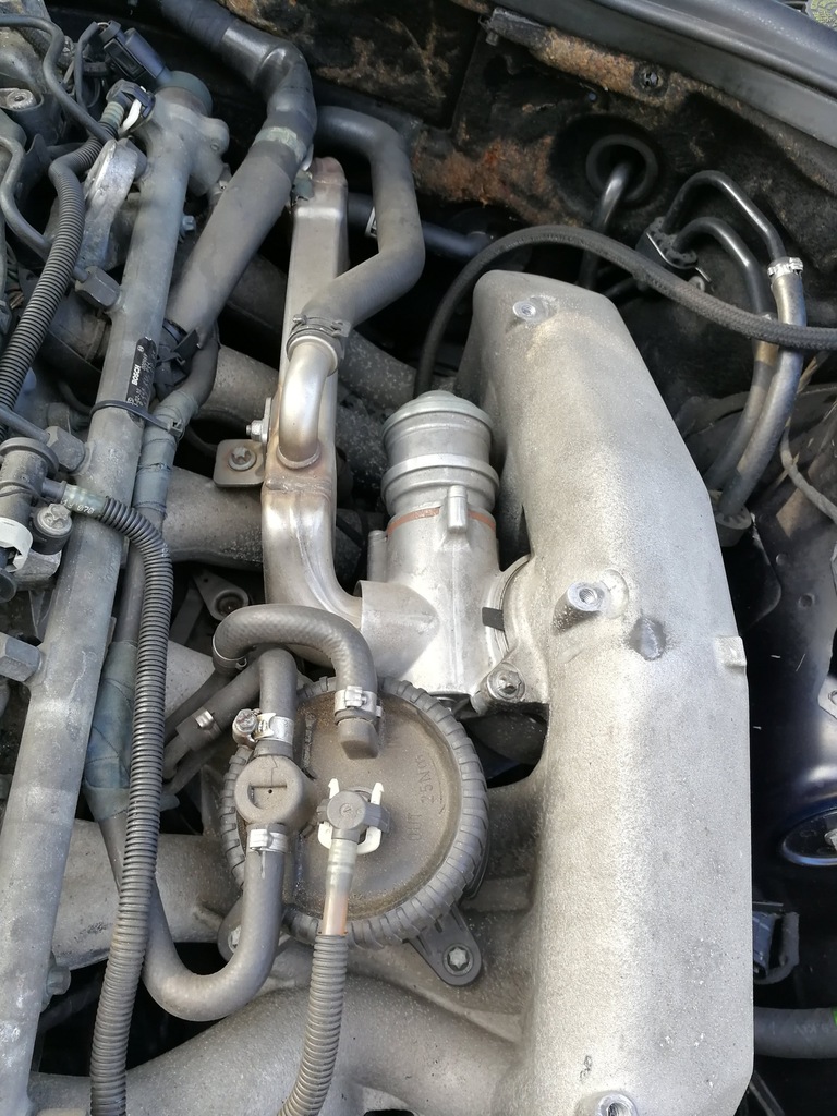 Mercedes W220 W210 3.2 CDI Zawór EGR