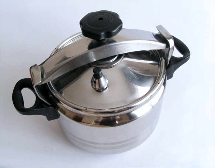 SZYBKOWAR GARNEK CIŚNIENIOWY KITCHEN KING 8L - WWA