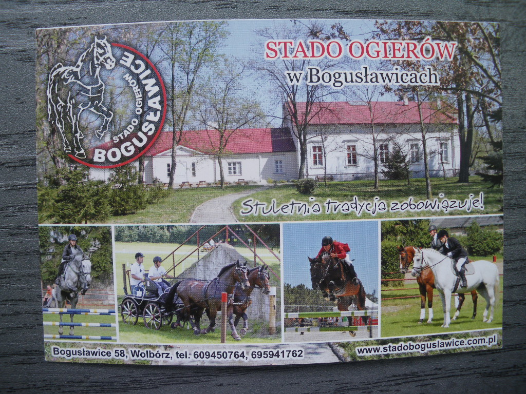 Bogusławice Stado Ogierów zdjęcie dobrej jakości