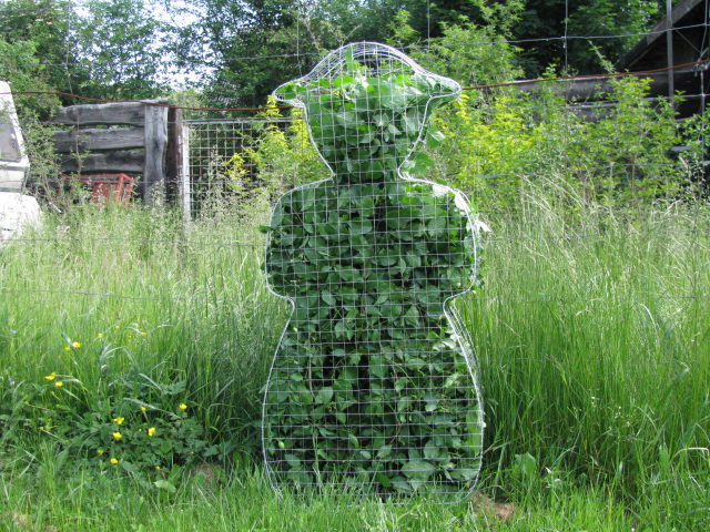TOPIARY FORMA DO RZEŹB Z ROŚLIN-OGRODNICZKA 100cm.