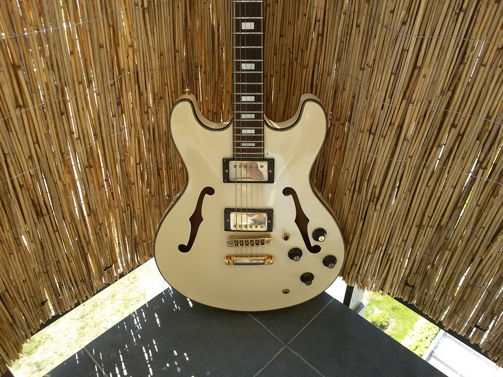 Aria Pro II / Gibson ES 335 - JAPAN Vintage