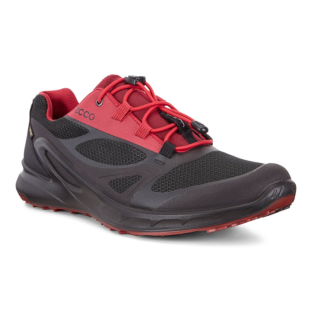 ecco biom omniquest gtx