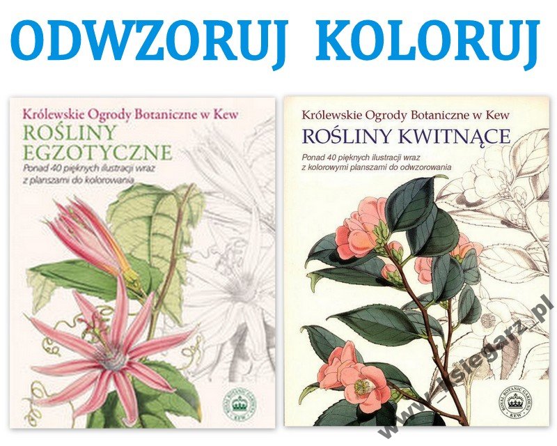 Królewskie Ogrody Botaniczne Kew odwzoruj KOLORUJ
