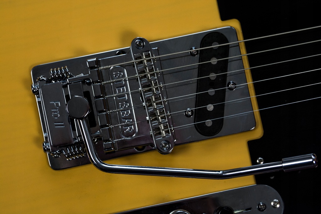 Stetsbar deals tremolo telecaster