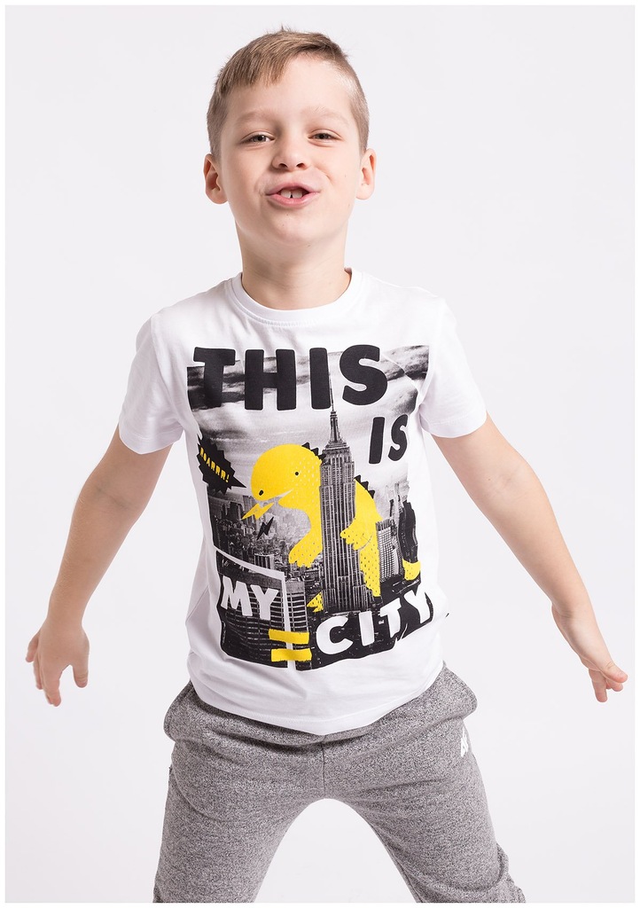 Koszulka chłopięca 4F T-shirt JTSM102 - 104