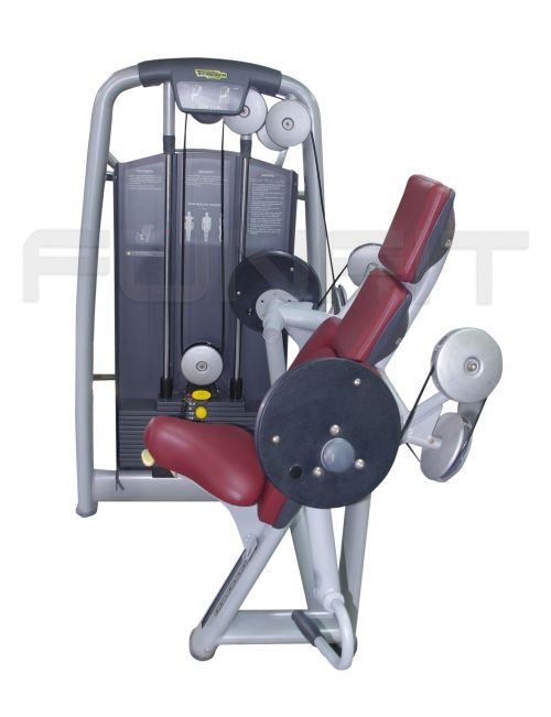 TECHNOGYM SELECTION ARM CURL-AS IS 900 EURO NETTO