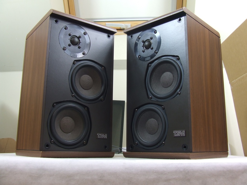 Kolumny TSM PURIS 200 /2x70W/