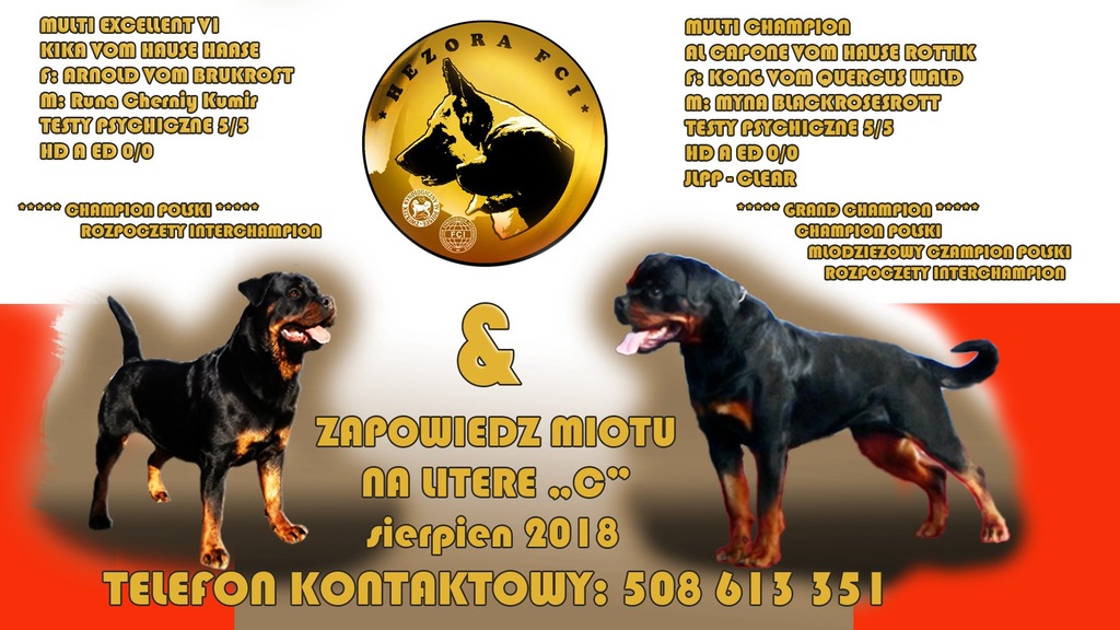 Fci rottweiler hot sale