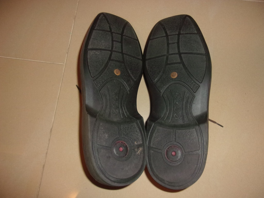 ecco light shock point