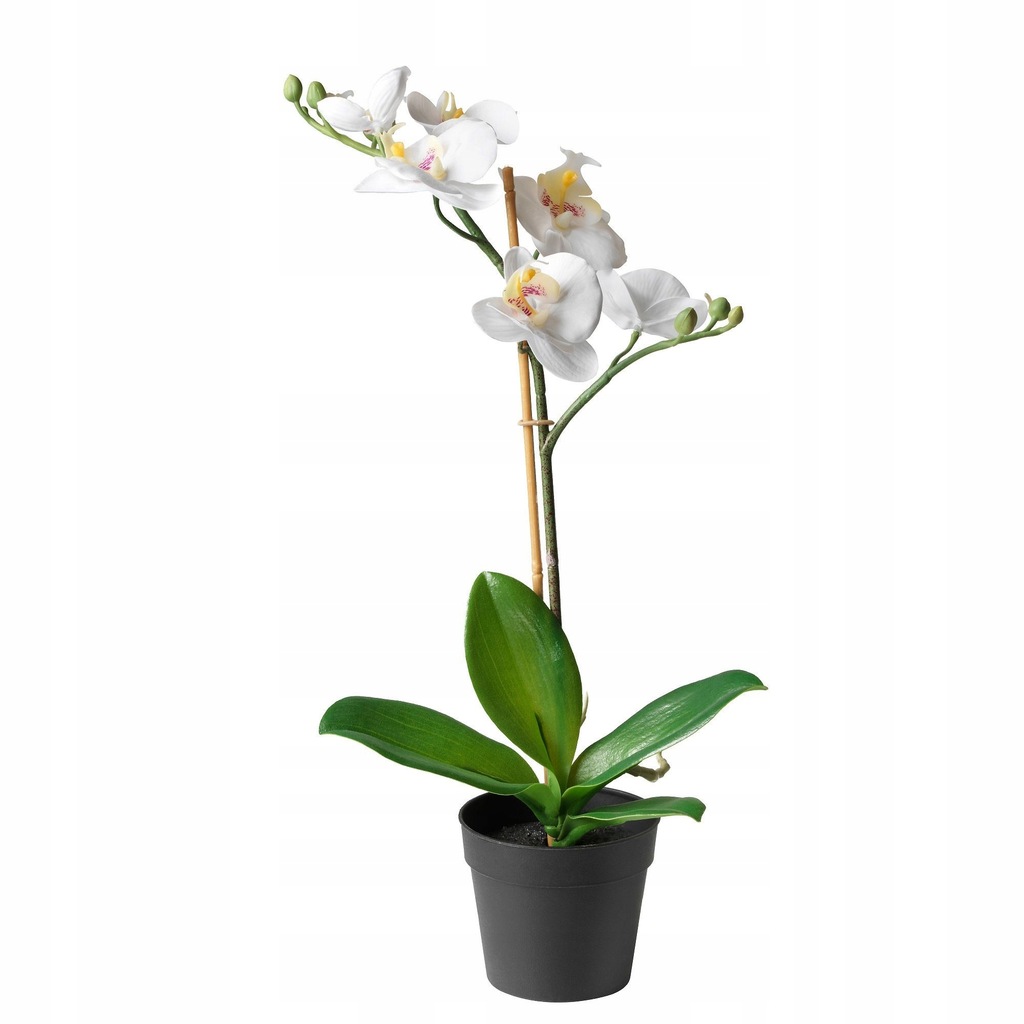 IKEA FEJKA Sztuczna roślina doniczkowa, Orchidea b