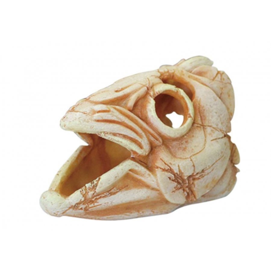 Ozdoba CZASZKA RYBY 11 cm