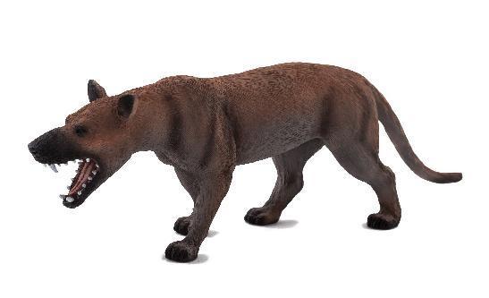 HIENODON ANIMAL PLANET, ANIMAL PLANET
