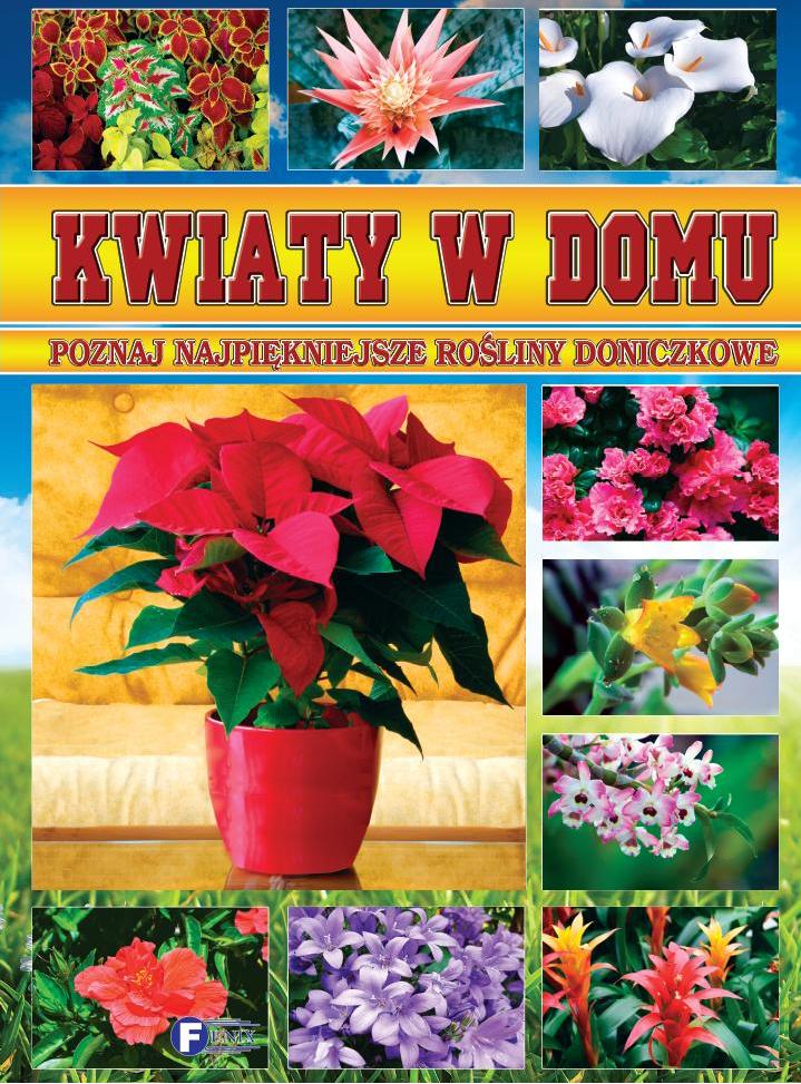 KWIATY W DOMU PORADNIK 92 ROŚLINY DONICZKOWE