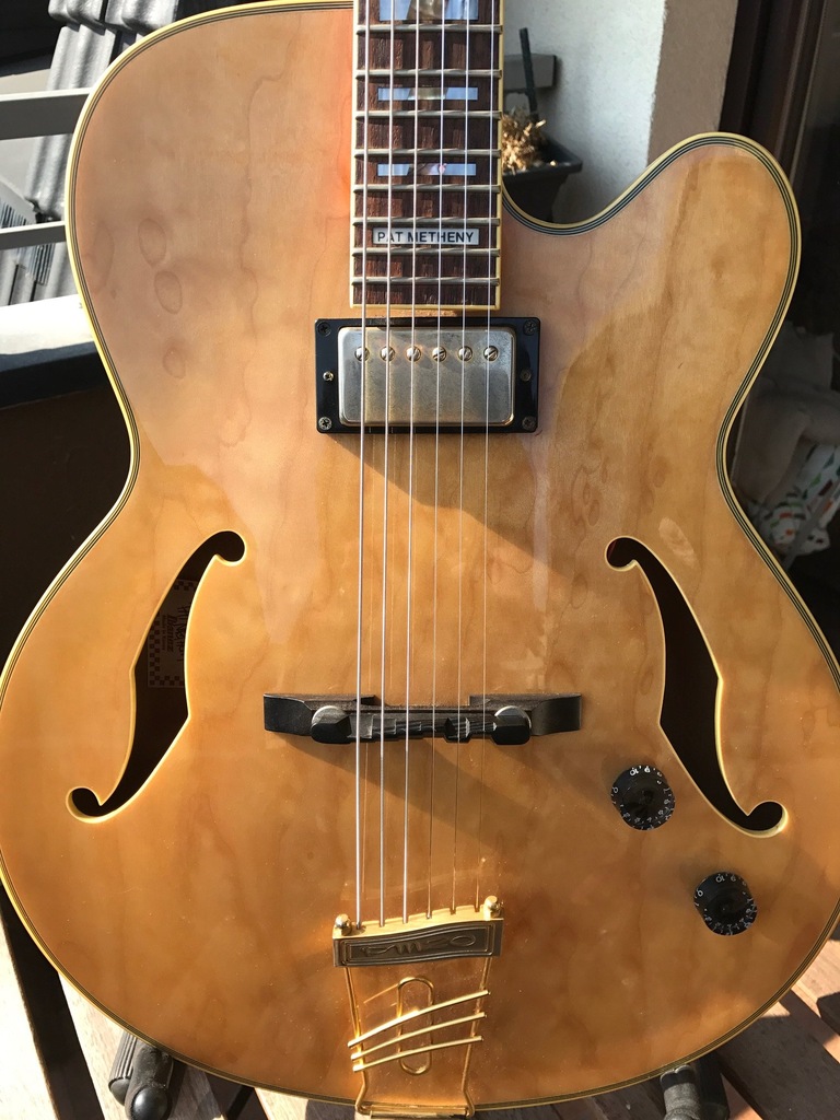 Ibanez PM20 Pat Metheny, gitara jazzowa, ES -175