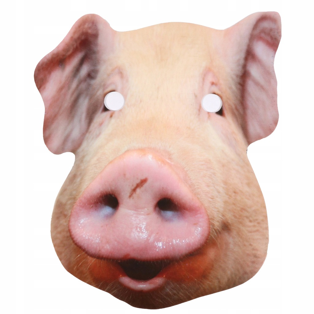 MASKA ŚWINI kartonowa ZWIERZĘTA świnia hit 98