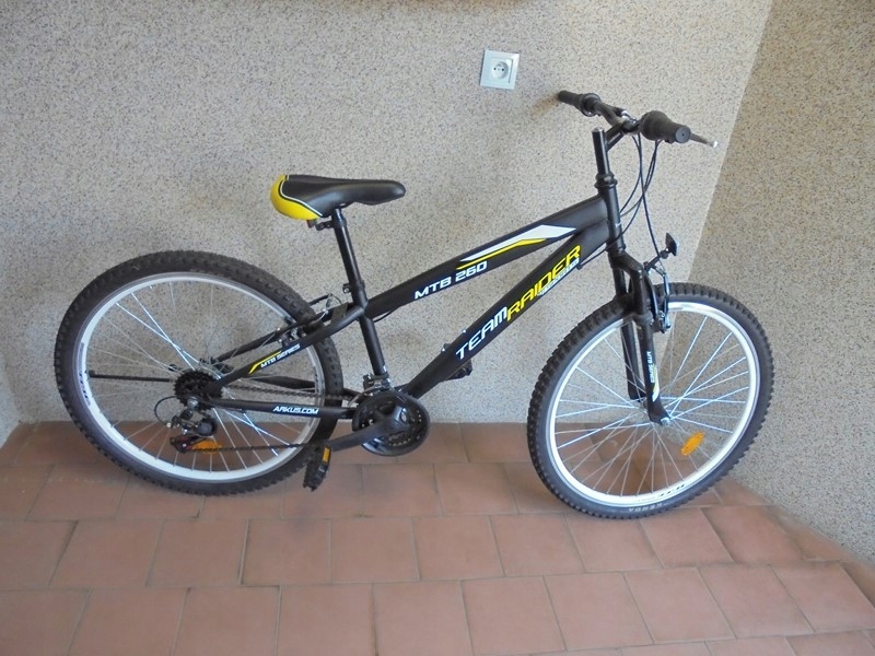 ROWER ARKUS TEAM RIDER MTB 260 &quot;IGŁA&quot;