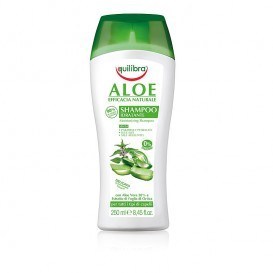 Equilibra - Aloesowy szampon