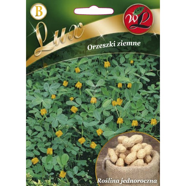 ORZESZKI ZIEMNE HIT !!! DO UPRAWY W OGRODZIE 'L