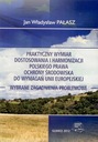 ПРАКТИЧЕСКОЕ ЗНАЧЕНИЕ АДАПТАЦИИ И ГАРМОНИЗАЦИИ