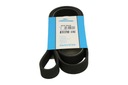 BELT MULTI-RIBBED 6PK1642 photo 6 - milautoparts-fr.ukrlive.com