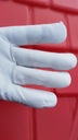 Rękawiczki robocze skórzane kozia skóra LEMUR r.8 Rodzaj rękawice