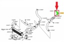 TUBE JUNCTION PIPE TURBO RADIATOR NISSAN PRIMERA 1.9 DCI photo 6 - milautoparts-fr.ukrlive.com