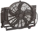 VENTILATEUR DE RADUATEUR BMW X5 (E53) 3.0-4. THERMOTEC D8B001TT WENTYLATOR, photo 4 - milautoparts-fr.ukrlive.com