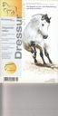 DRESSUR STUDIEN 2/2011 НЕМЕЦКИЙ (ЛОШАДИ)