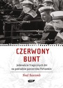 «Красное восстание», Нил Баскомб
