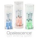 ГЕЛЬ ДЛЯ ОТБЕЛИВАНИЯ ЗУБОВ OPALESCENCE 4 10 VE PASTA