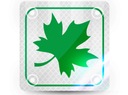 GREEN LEAF – НАСТОЯЩЕЕ ОТРАЖЕНИЕ ДЛЯ МОЛОДОГО ВОДИТЕЛЯ PL