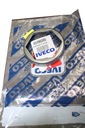 КОЛЬЦО СТУПИЦЫ IVECO 4249380 OEM