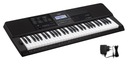 CASIO CT-X800 Keyboard-SMF player