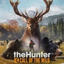 THEHUNTER HUNTER CALL OF THE WILD PL +4 DLC STEAM КЛЮЧ + БОНУС