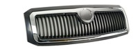 Skoda faia и 99-04 решетка, решетки решетка передний - фото
