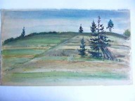 AKWARELA RYCERKA 1981 R