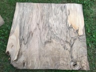 orzech włoski korzeń okleina / fornir