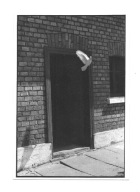 Pocztówka - Biały gołąb wylatujący z pustego domu