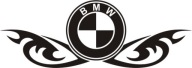 Bmw логотип + глаза для выбору цвет для uzgodnienia фото, цена
