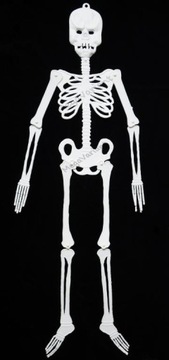 SKELETON MONSTER SKELETON декоративный наряд FEAR 95 CM