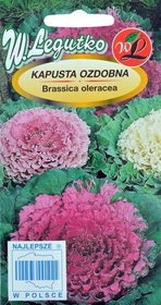 ДЕКОРАТИВНЫЕ ОСЕННИЕ КАПУСТНЫЕ РОЗЫ