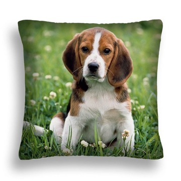 ПОДУШКА ДЛЯ СОБАКИ 14 BEAGLE PUPPY MEADOW FLOWERS PL