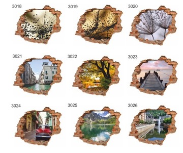 naklejki na ścianę ścienne 3d Dziura w ścianie 142